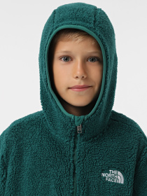 Кофта The North Face Campshire модель NF0A89KBNL11 Фото