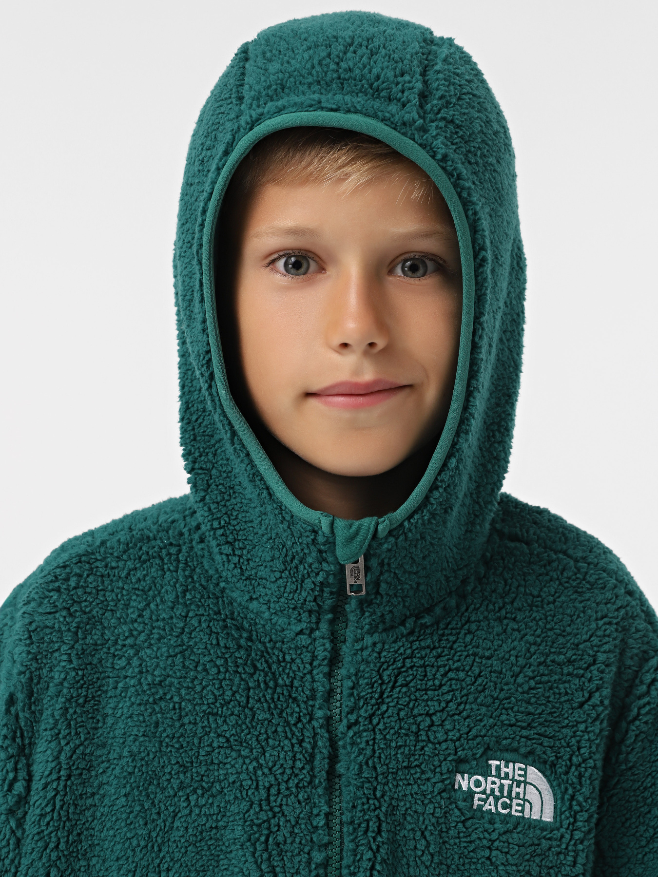 Кофта The North Face Campshire модель NF0A89KBNL11 Кофта The North Face Campshire модель NF0A89KBNL11 Фото