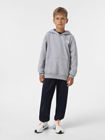 Худі The North Face Teen Essential модель NF0A89HADYX1 Фото