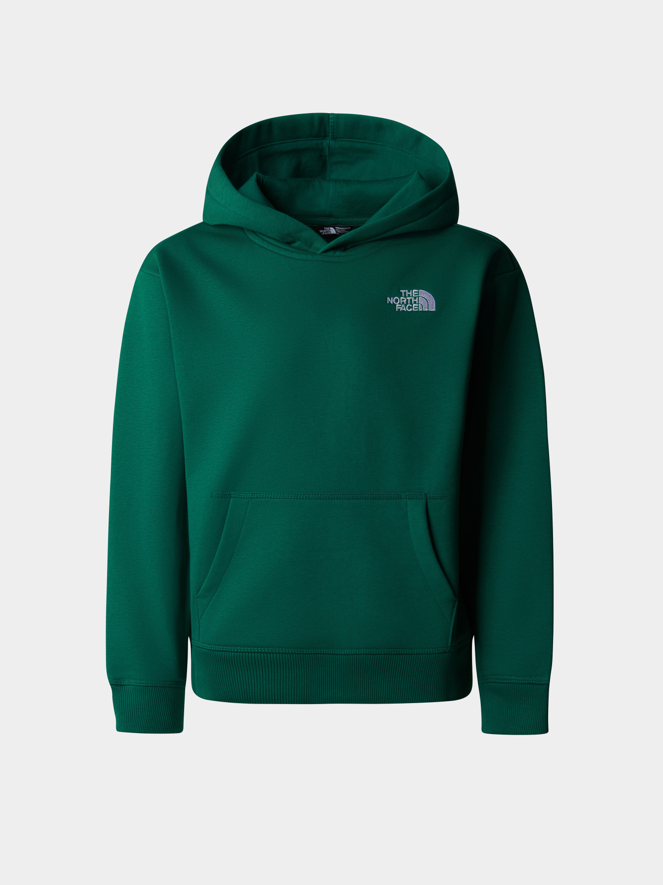 Худи The North Face Teen Essential модель NF0A89HANL11 Фото