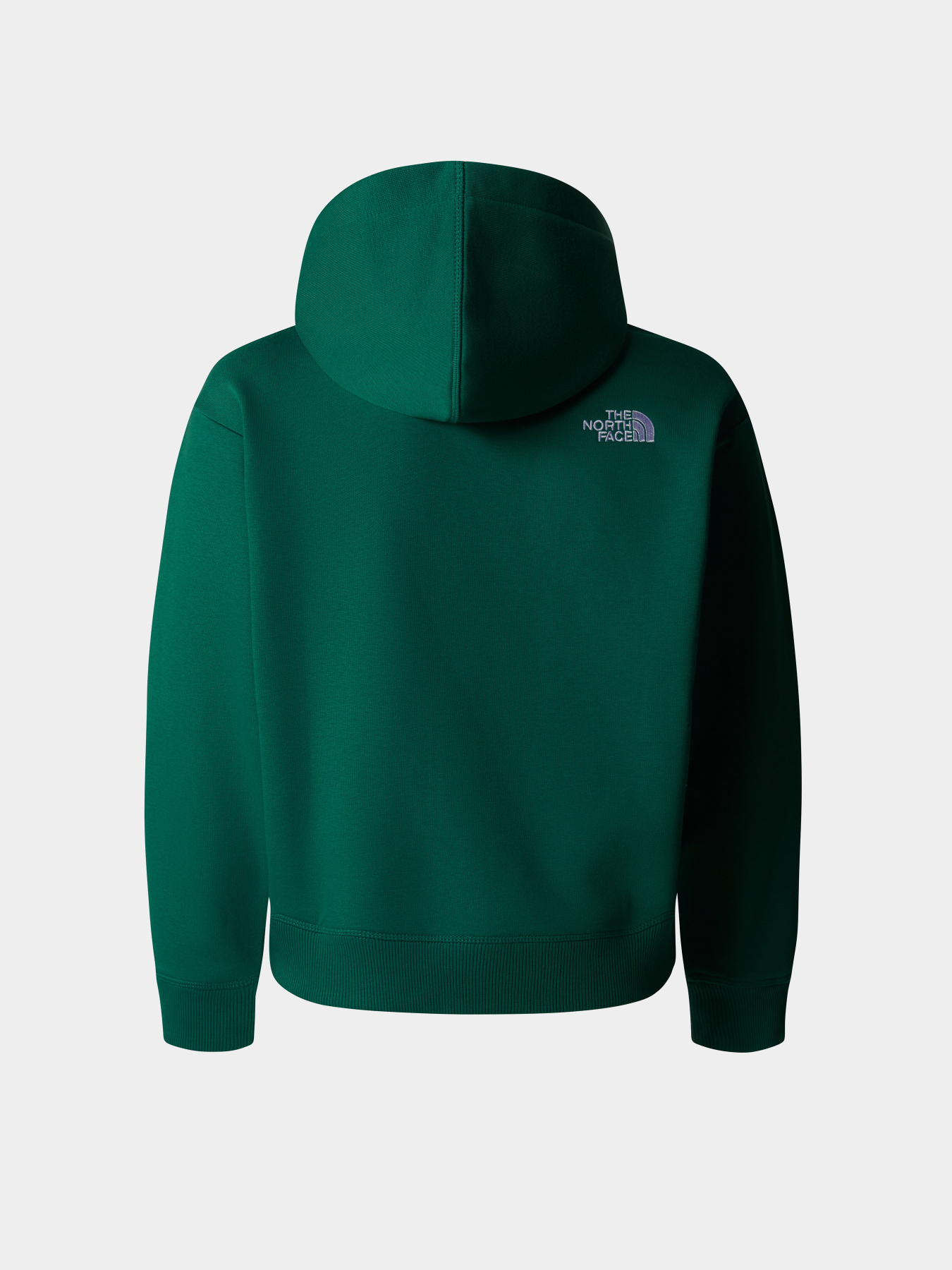 Худи The North Face Teen Essential модель NF0A89HANL11 Фото