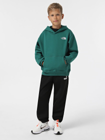 Худи The North Face Teen Essential модель NF0A89HANL11 Фото