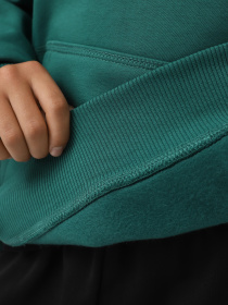 Худи The North Face Teen Essential модель NF0A89HANL11 Фото