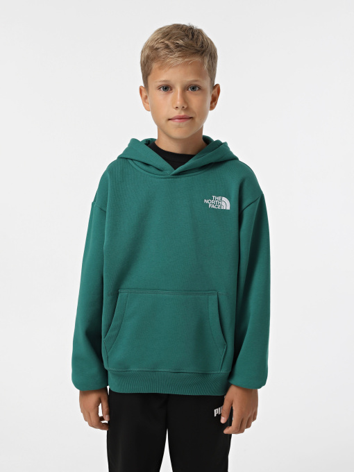 Худі The North Face Teen Essential модель NF0A89HANL11 Фото
