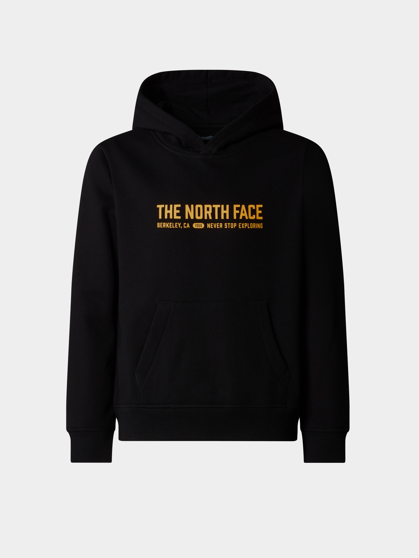 Худі The North Face Graphic модель NF0A89HBJK31 Фото