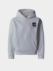 Худи The North Face Coordinates Graphic модель NF0A89HKFN41 Фото