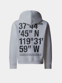 Худи The North Face Coordinates Graphic модель NF0A89HKFN41 Фото