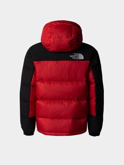 Пуховик The North Face Hmlyn Down модель NF0A88UY6821 — фото - INTERTOP