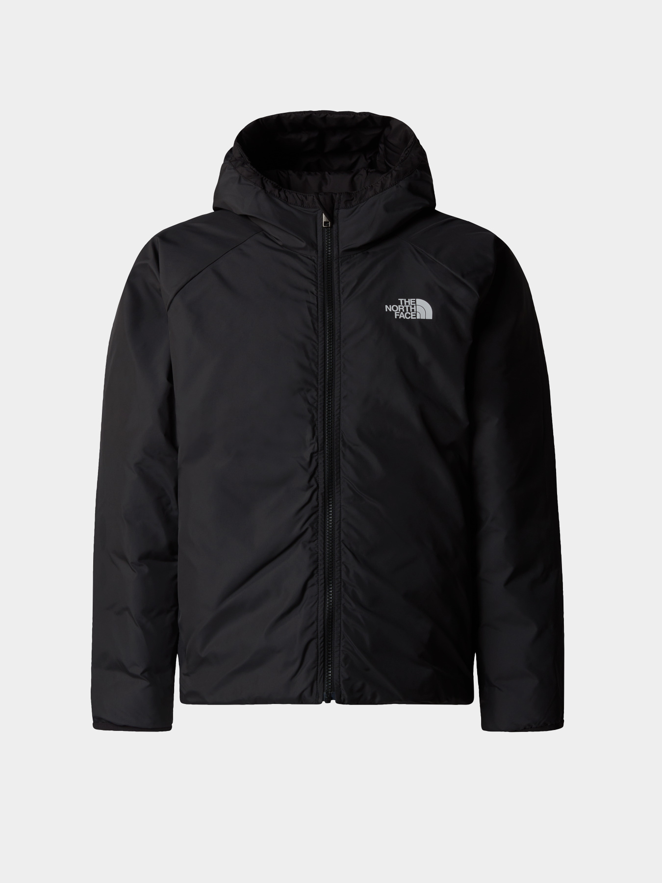 Зимова куртка The North Face Reversible Perrito Модель NF0A88TWJK31 Фото