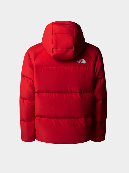 Куртки и дубленки The North Face North Down Hooded модель NF0A88TX6821 Фото