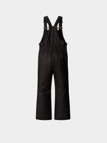 Комбинезон с утеплителем The North Face Freedom Insulated модель NF0A88VMJK31 Фото