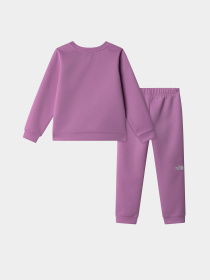 Костюм The North Face Poly модель NF0A89H31I81 Фото