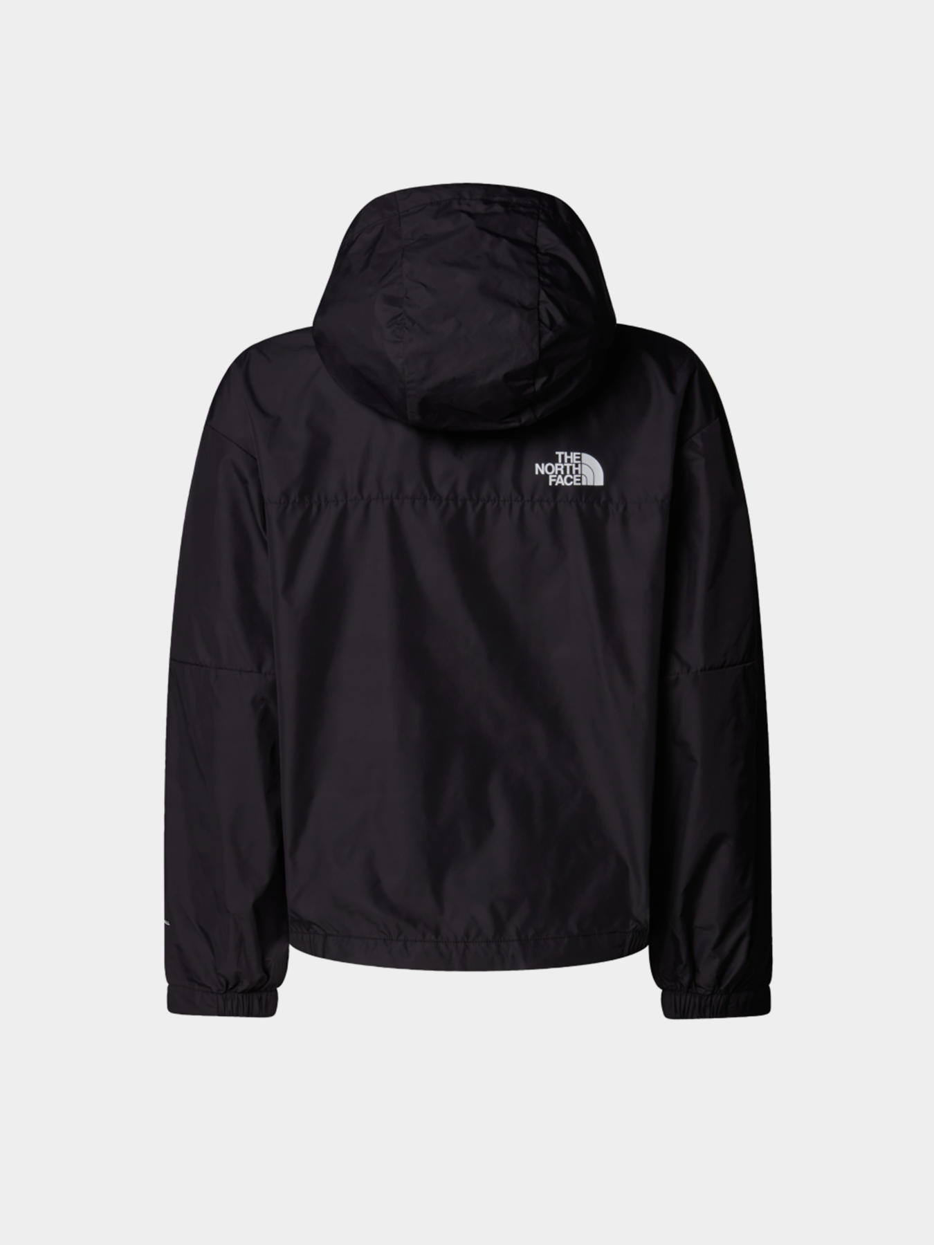 Ветровка The North Face Teen Mountain Wind модель NF0A8B80JK31 Фото