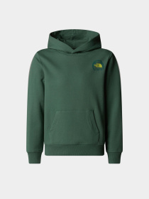 Худи The North Face Graphic Relaxed модель NF0A8AXTHCH1 Фото