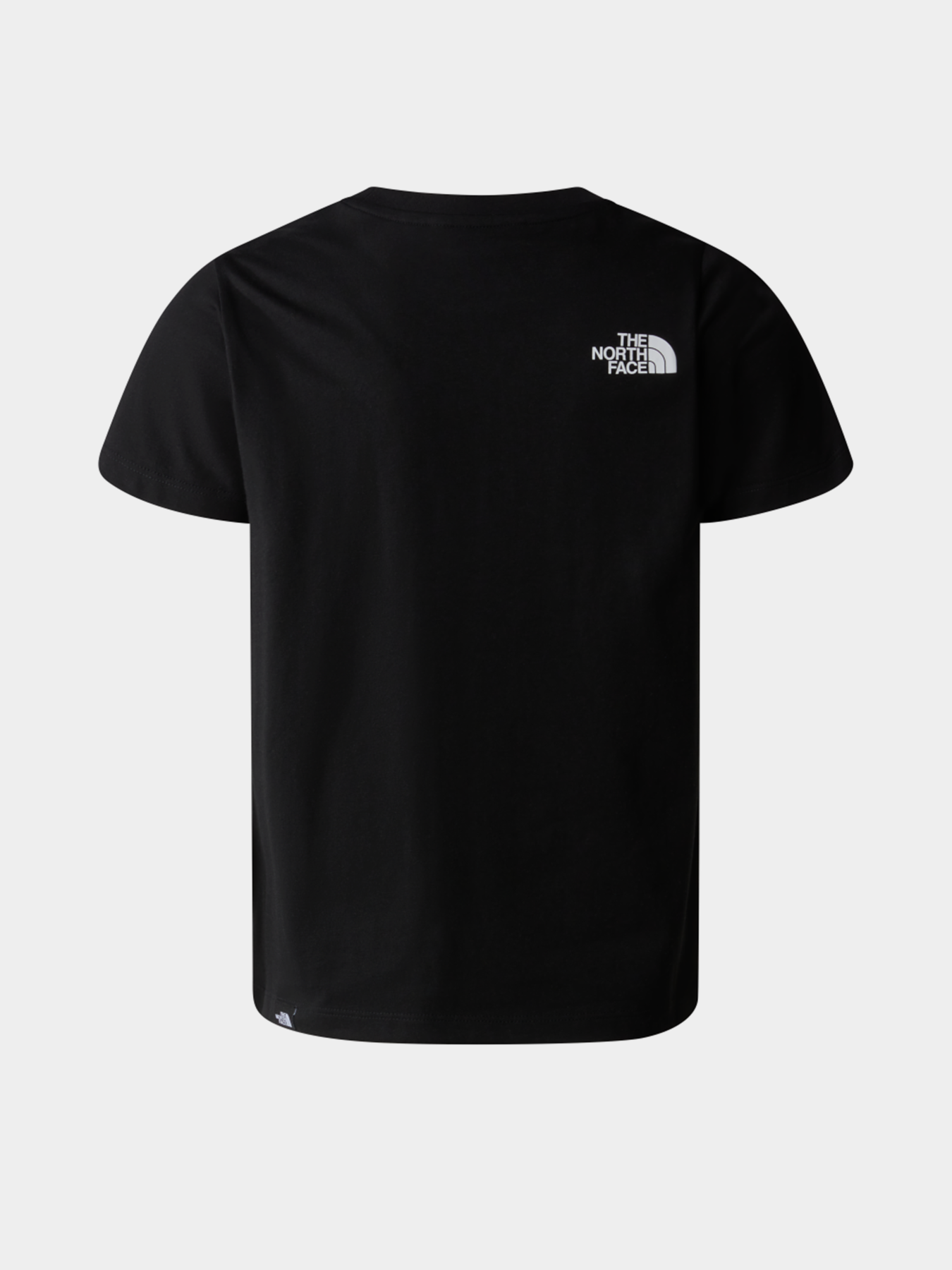 Футболка The North Face Teen S/S Simple Dome модель NF0A8DRPJK31 Футболка The North Face Teen S/S Simple Dome модель NF0A8DRPJK31 Фото