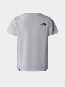 Футболка The North Face Teen S/S Simple Dome модель NF0A8DRPFN41 Фото