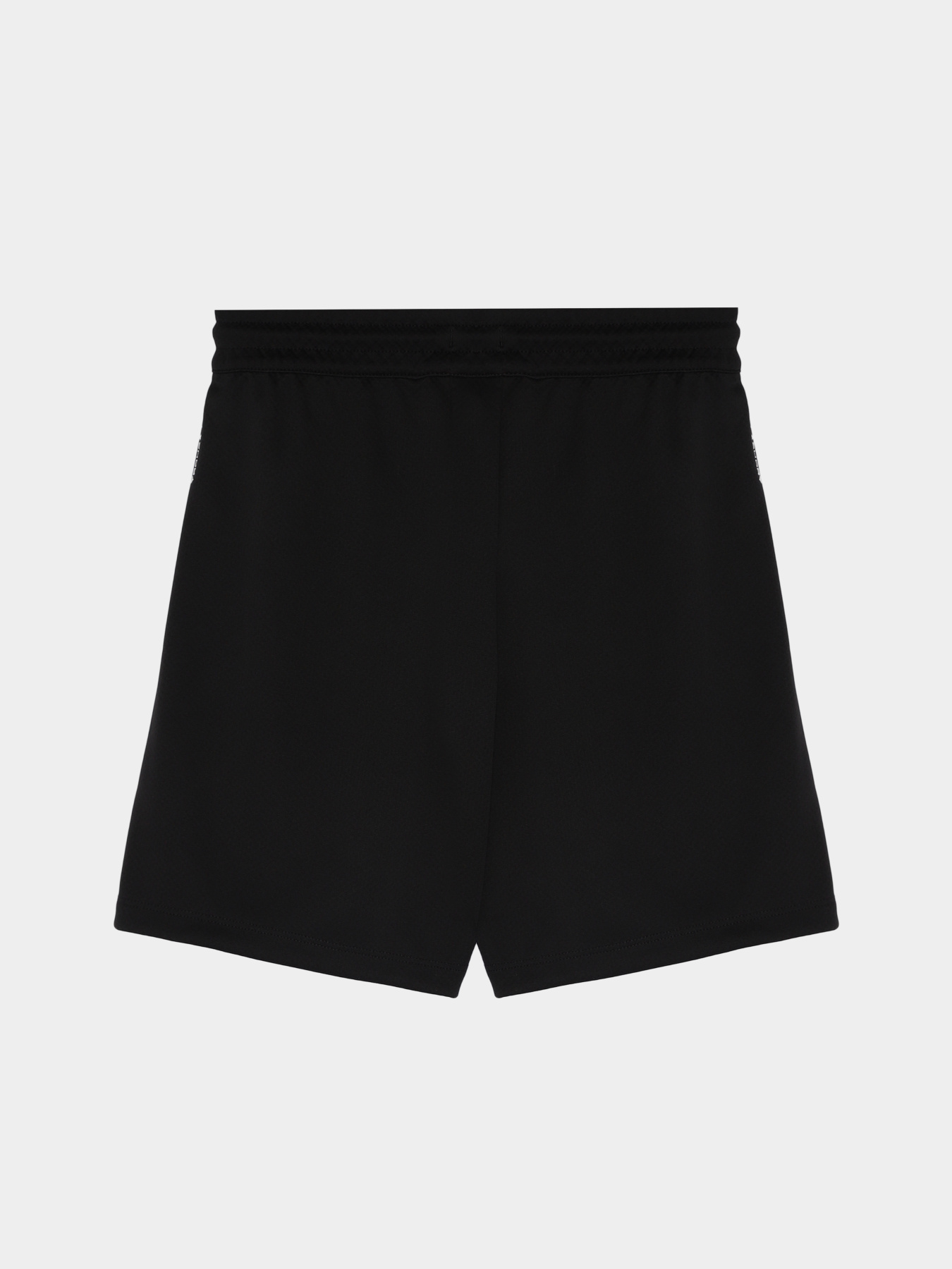 Шорти спортивні The North Face Never Stop модель NF0A86U4JK31 Фото