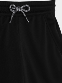 Шорты спортивные The North Face Never Stop модель NF0A86U4JK31 Фото