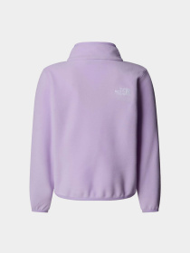 Кофта The North Face Glacier модель NF0A8CVJQZI1 Фото