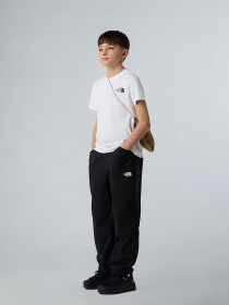 Футболка The North Face Simple Dome модель NF0A87T4FN41 Фото