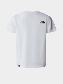 Футболка The North Face Simple Dome модель NF0A87T4FN41 Фото