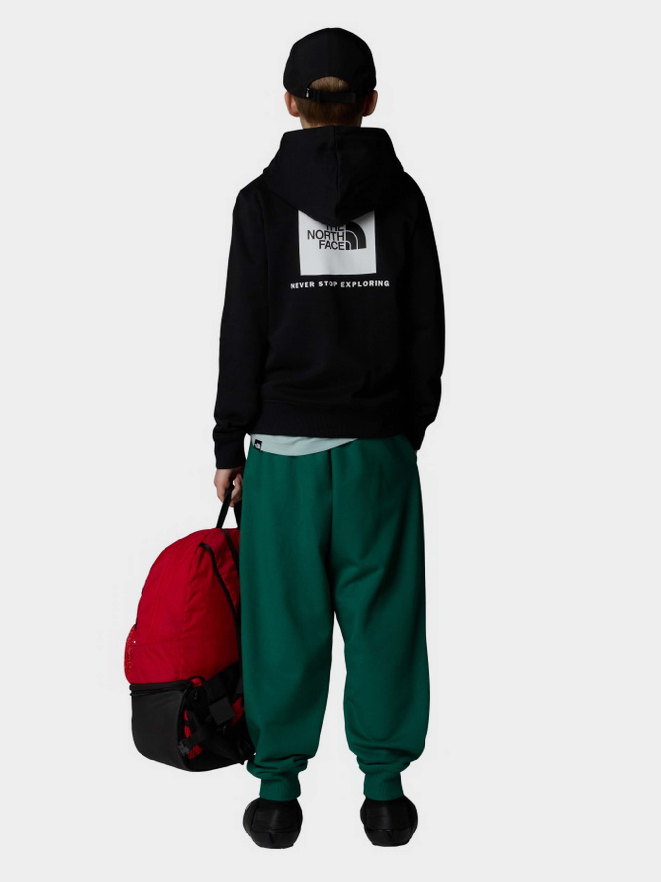 Худи The North Face NSE Box модель NF0A89H9JK31 Фото