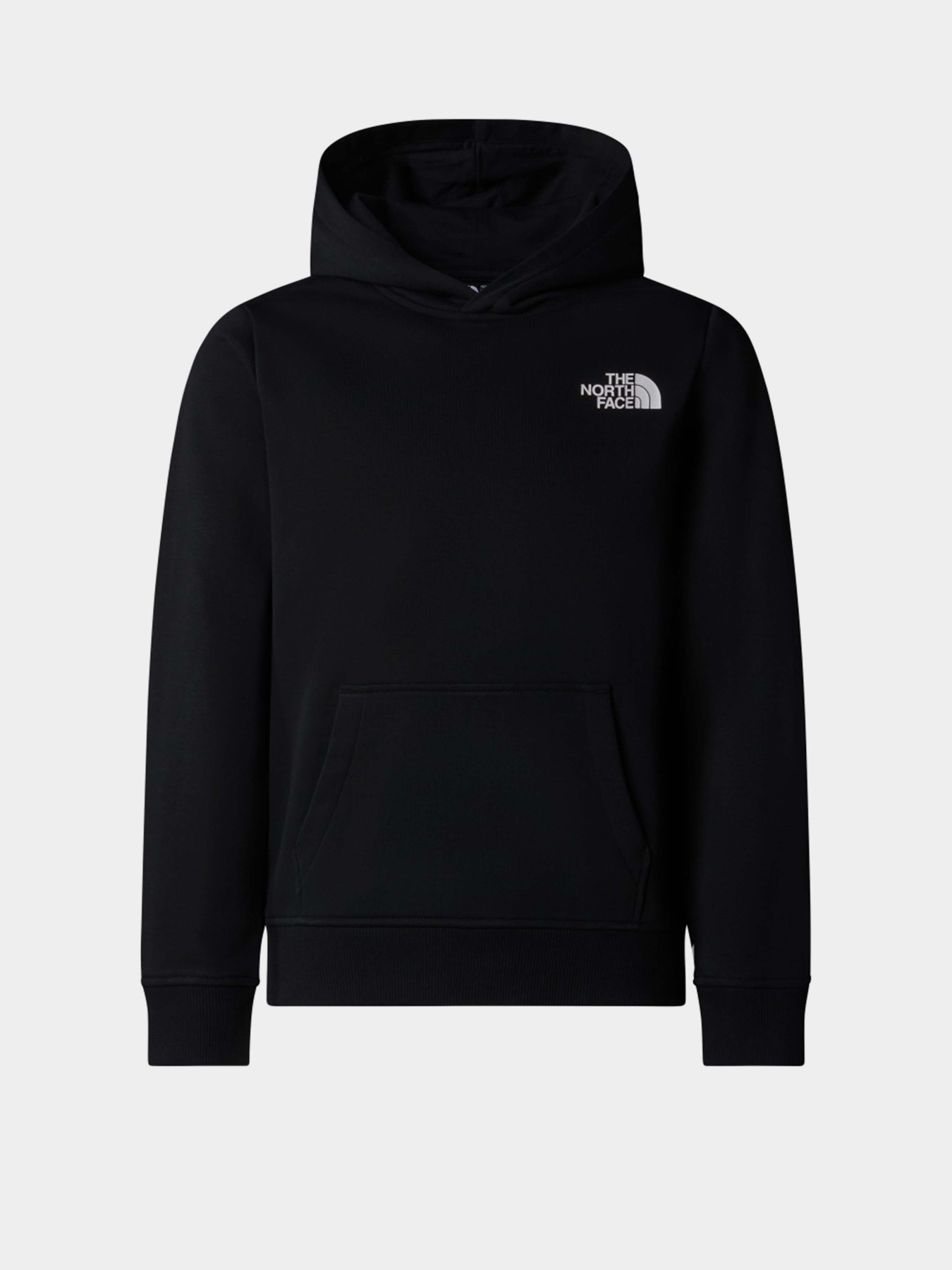 Худи The North Face NSE Box модель NF0A89H9JK31 Фото