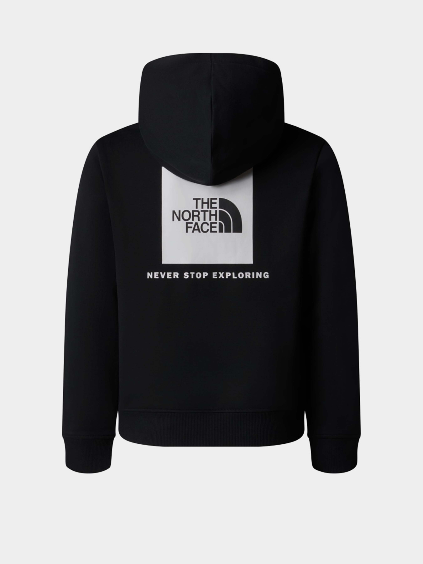 Худи The North Face NSE Box модель NF0A89H9JK31 Фото