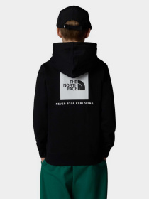 Худи The North Face NSE Box модель NF0A89H9JK31 Фото