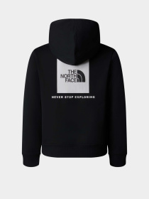 Худи The North Face NSE Box модель NF0A89H9JK31 Фото