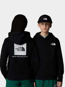 Худі та світшоти The North Face NSE Box модель NF0A89H9JK31 Фото