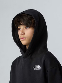 Худи The North Face Essential модель NF0A89HAJK31 Фото