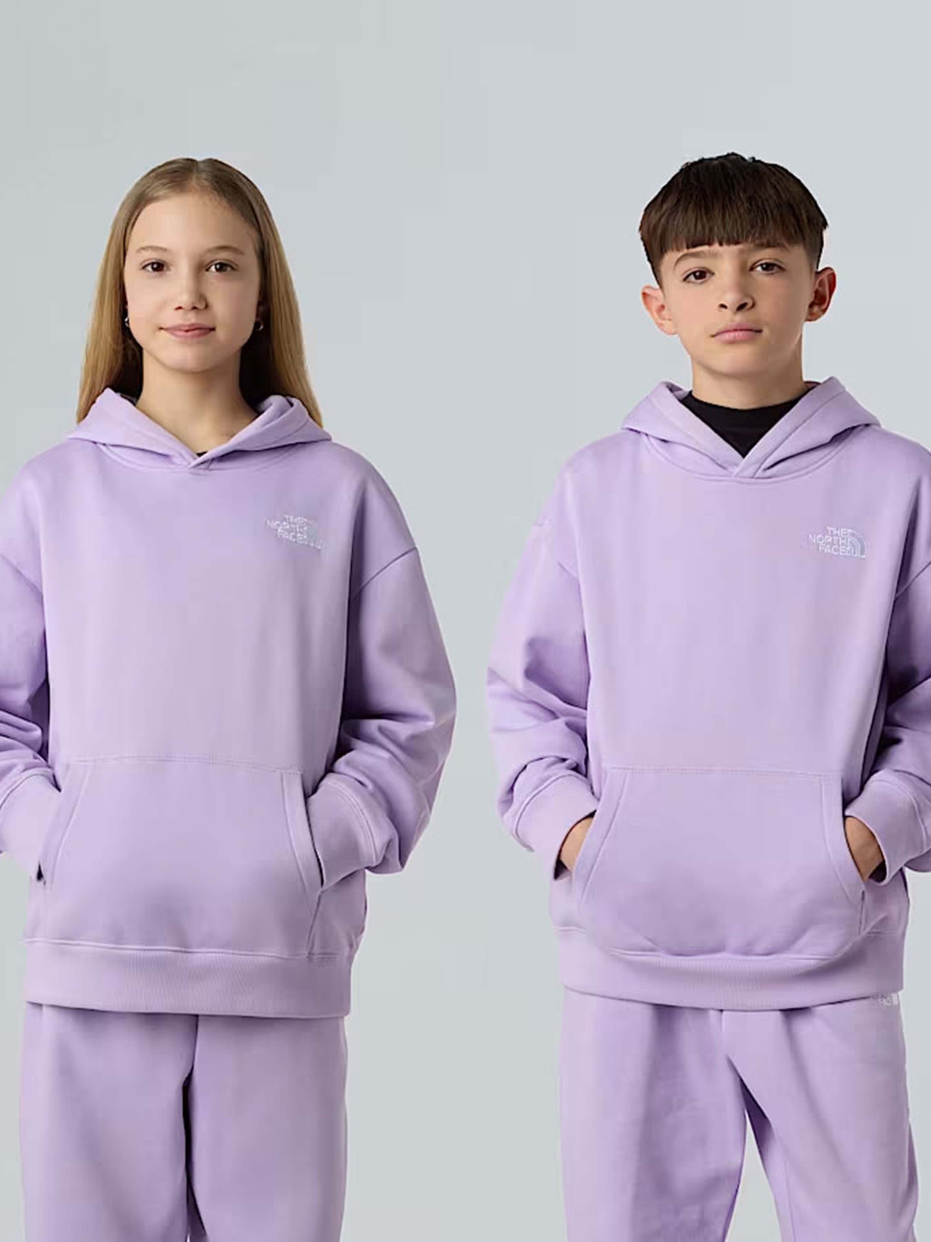 Худи The North Face Essential модель NF0A89HAQZI1 Фото