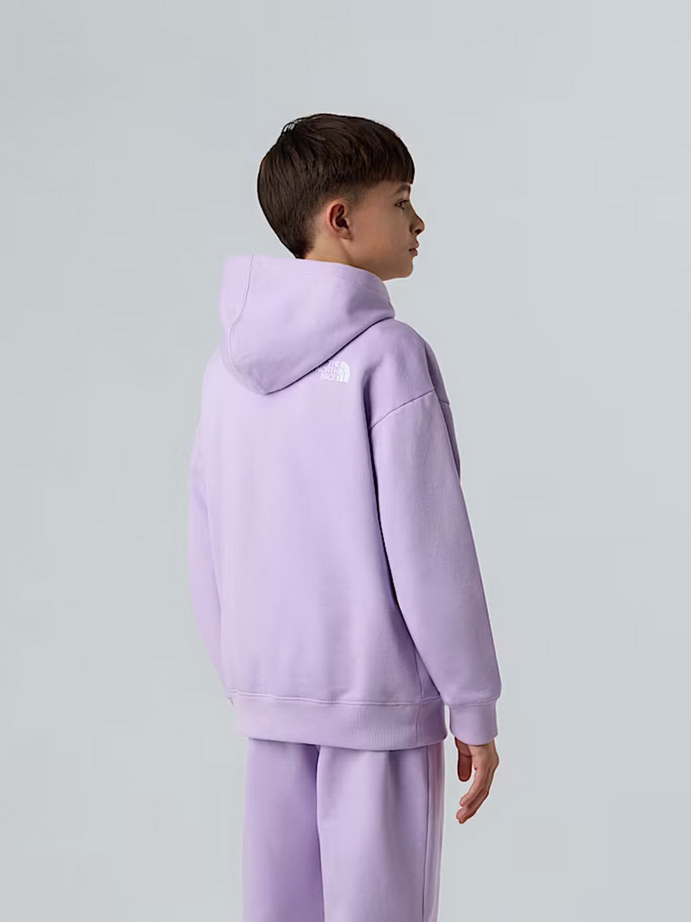 Худи The North Face Essential модель NF0A89HAQZI1 Фото