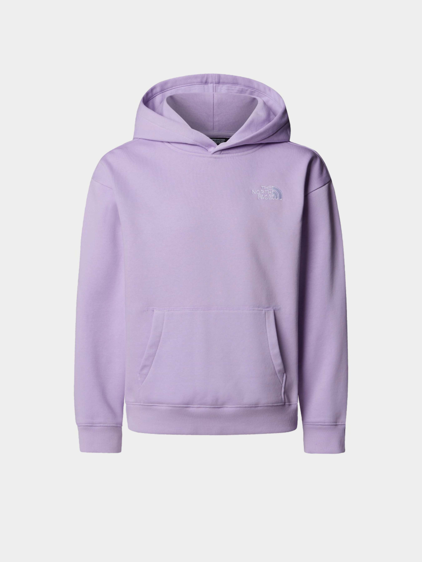 Худи The North Face Essential модель NF0A89HAQZI1 Фото