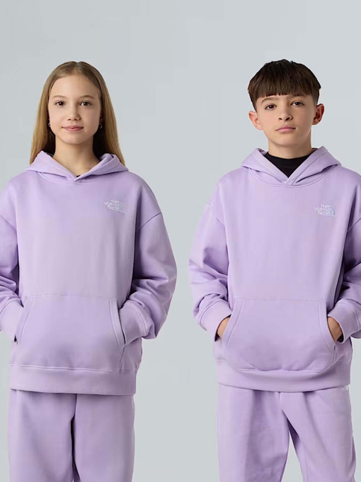 Худи The North Face Essential модель NF0A89HAQZI1 Фото