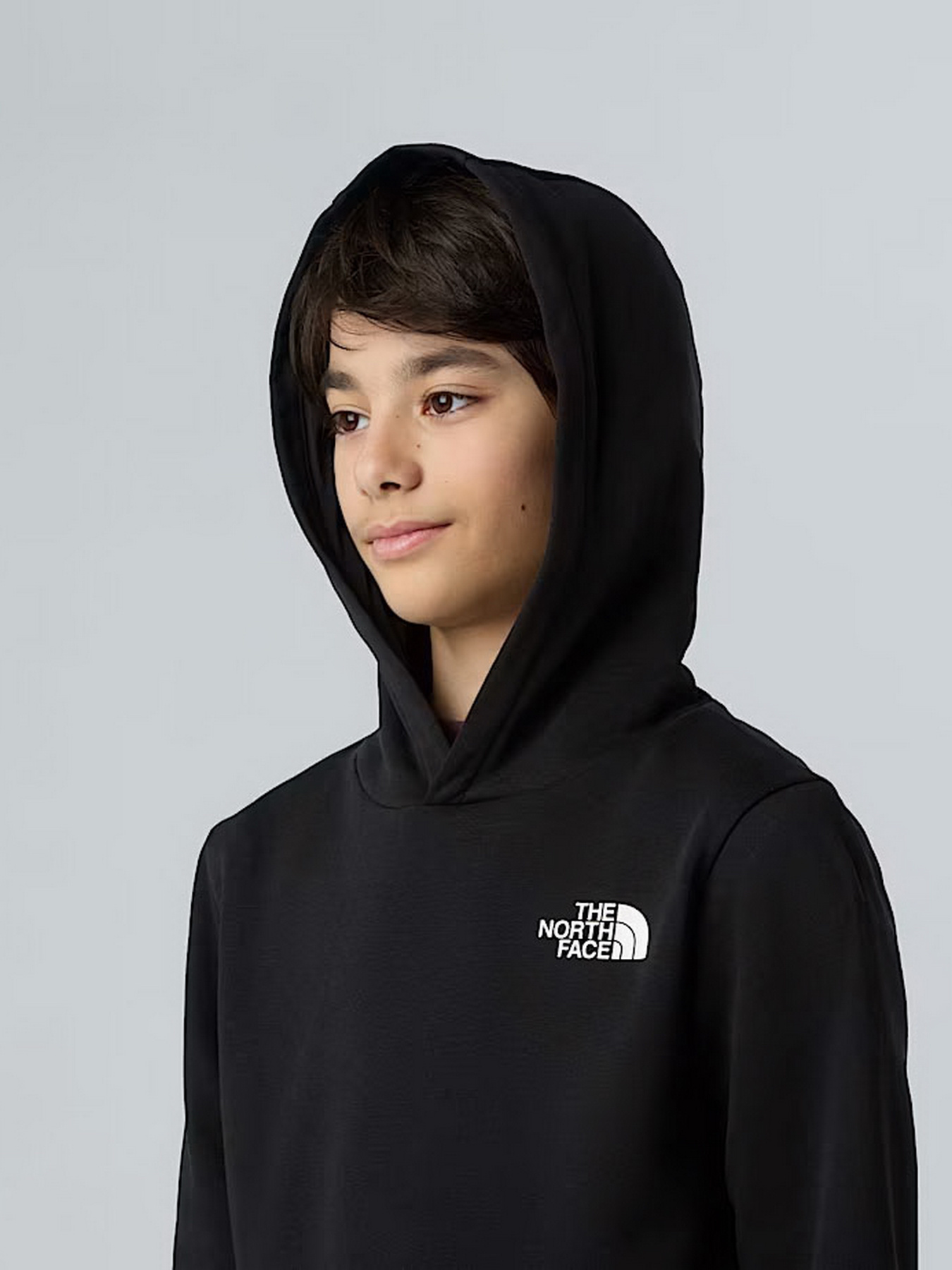 Худи The North Face модель NF0A8AXVJK31 Фото