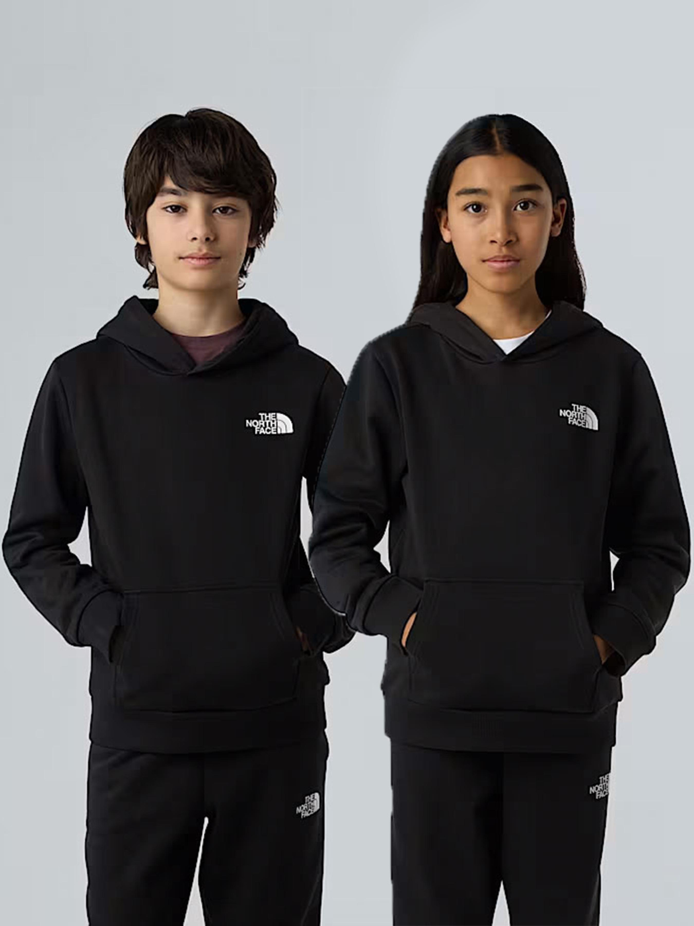 Худи The North Face модель NF0A8AXVJK31 Фото