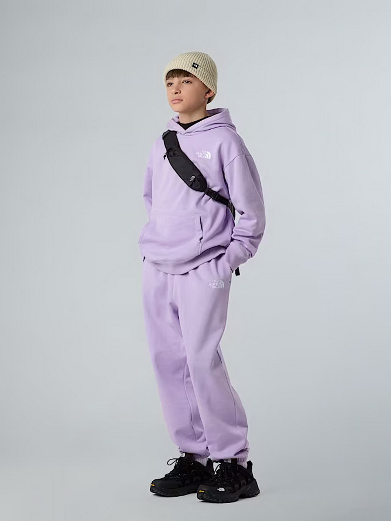 Брюки повседневные The North Face Essential модель NF0A8BHSQZI1 Фото