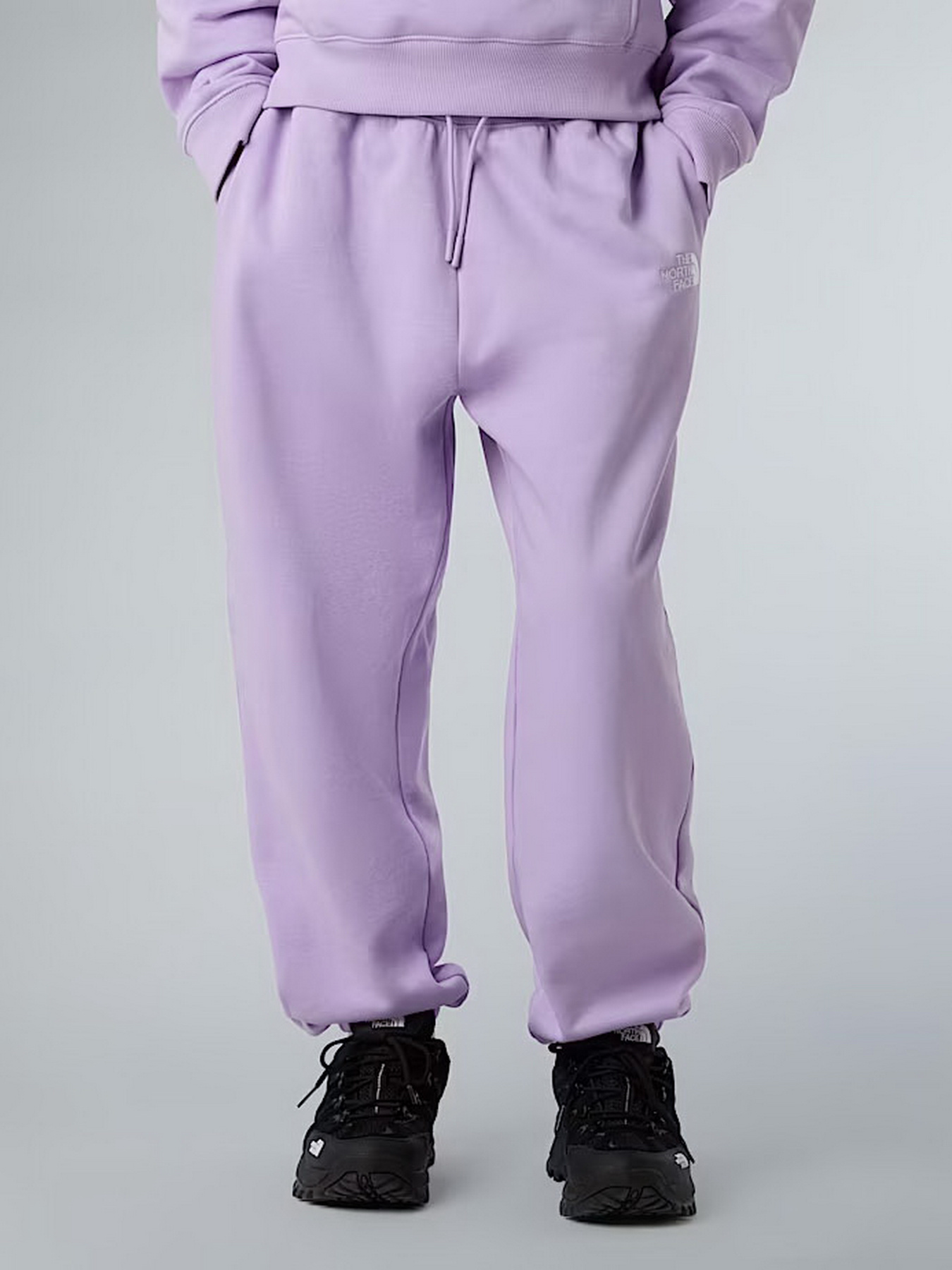 Повседневные штаны The North Face Essential модель NF0A8BHSQZI1 Фото