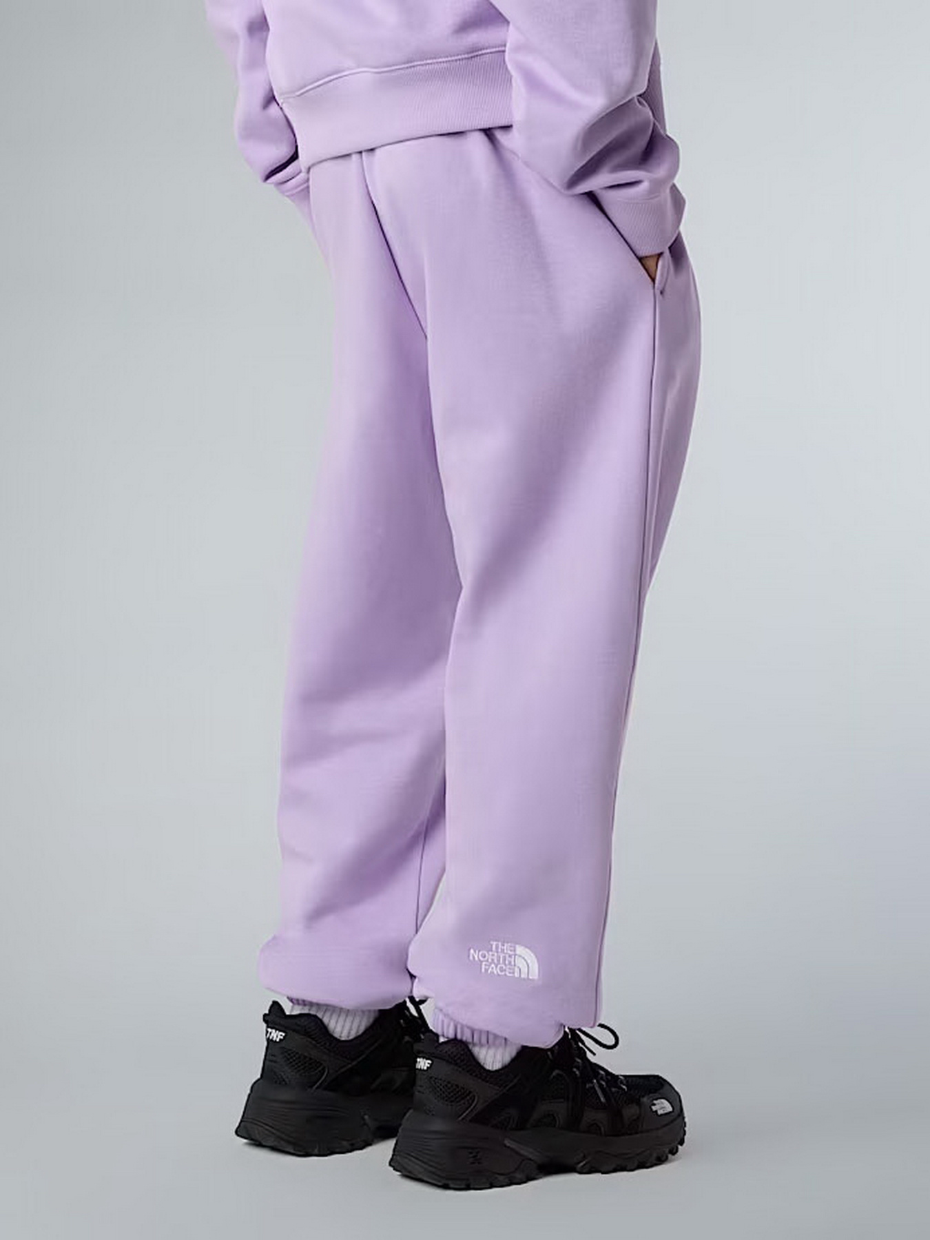 Повседневные штаны The North Face Essential модель NF0A8BHSQZI1 Фото