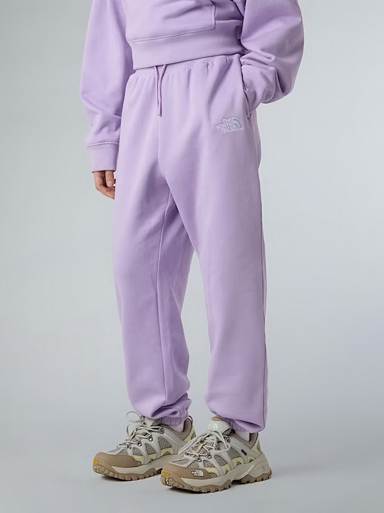 Повседневные штаны The North Face Essential модель NF0A8BHSQZI1 Фото