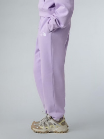 Повседневные штаны The North Face Essential модель NF0A8BHSQZI1 Фото