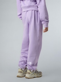 Повседневные штаны The North Face Essential модель NF0A8BHSQZI1 Фото