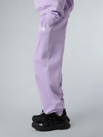 Повседневные штаны The North Face Essential модель NF0A8BHSQZI1 Фото