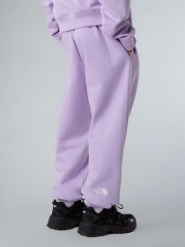 Повседневные штаны The North Face Essential модель NF0A8BHSQZI1 Фото