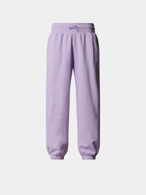 Повседневные штаны The North Face Essential модель NF0A8BHSQZI1 Фото