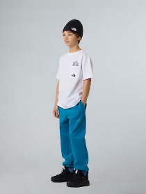 Футболка The North Face Sports Oversized Pocket модель NF0A8EAKFN41 Фото