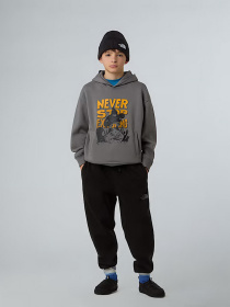 Худи The North Face Sports Oversized модель NF0A8EAM0UZ1 Фото