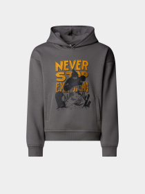 Худи The North Face Sports Oversized модель NF0A8EAM0UZ1 Фото